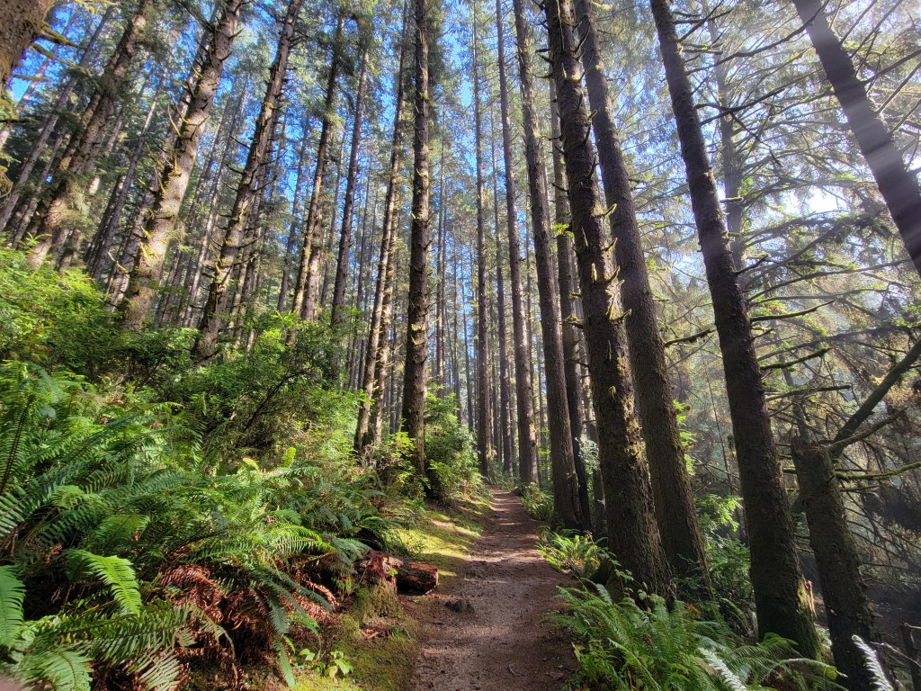 Every Mile is a Tree&nbsp;Planted